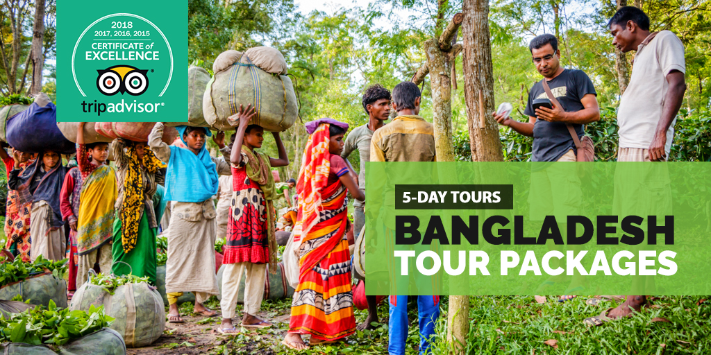 5 day tours