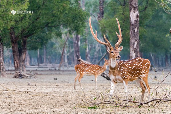 13 Best Places To Visit In Bangladesh You Cant Miss