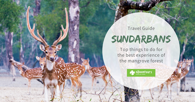 Sundarbans: Top 8 things to do for the best experience