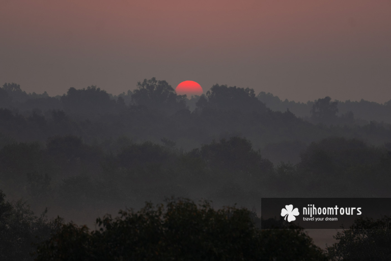 Sunrise in Sundarbans Mangrove Forest
