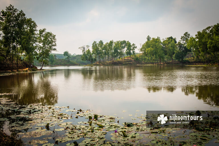 Madhabpur Lake in Sreemangal