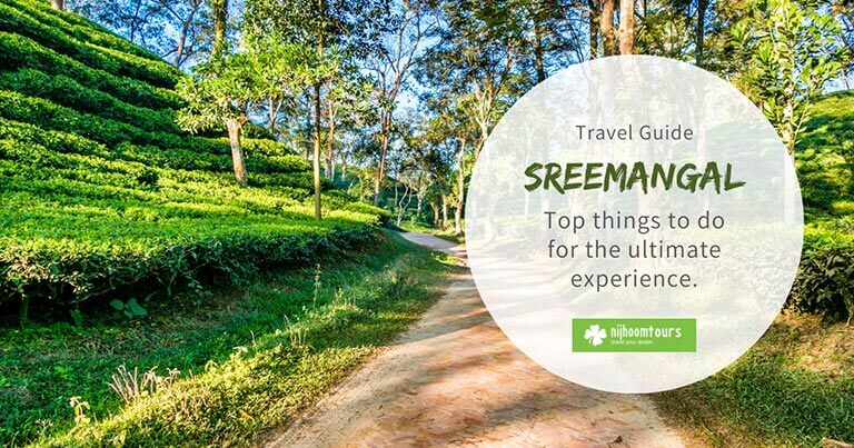8 Top Things To Do in Sreemangal For The Ultimate Experience